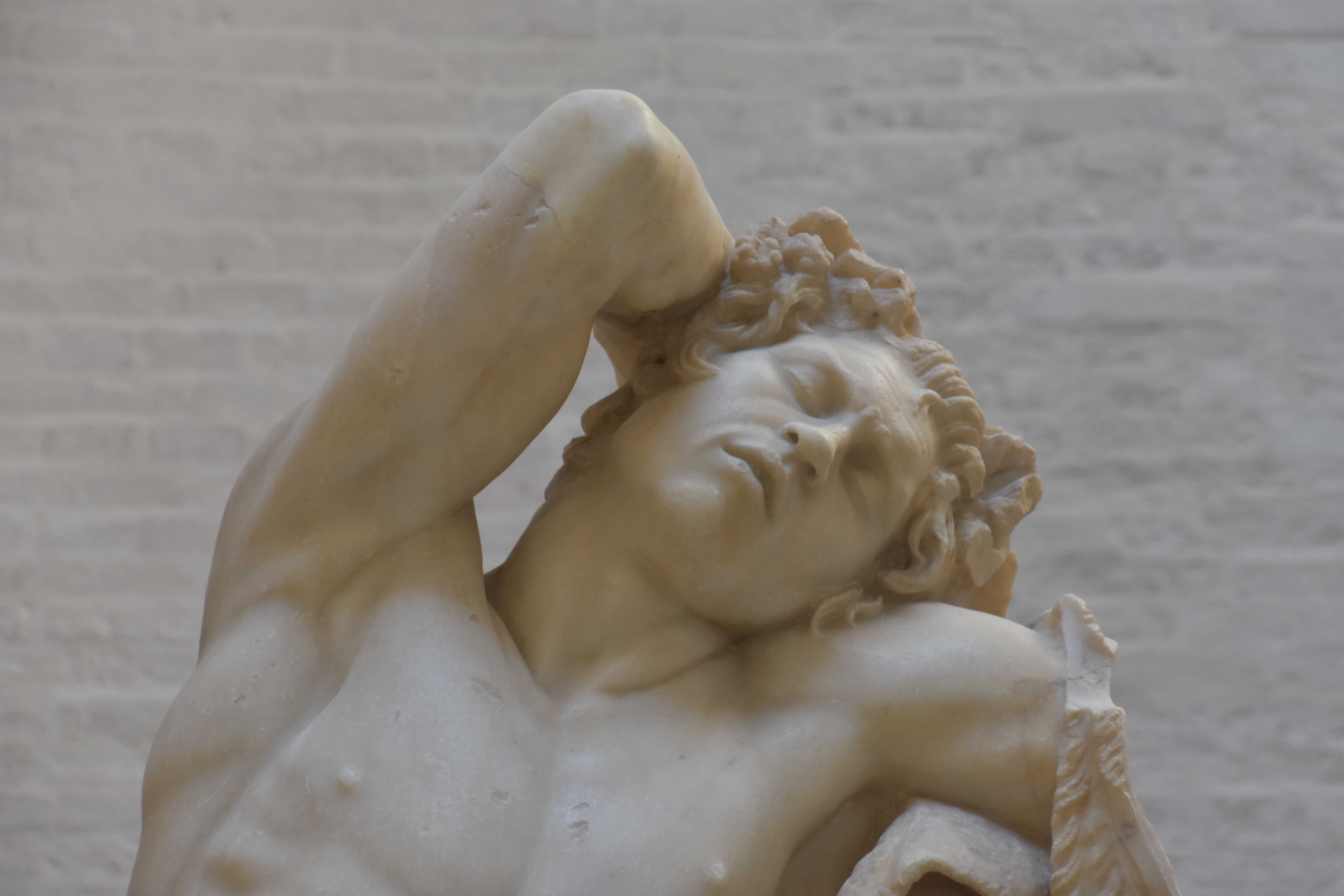 Die "neue" Glyptothek: Ausgewählte Meisterwerke der griechischen und römischen Kunst